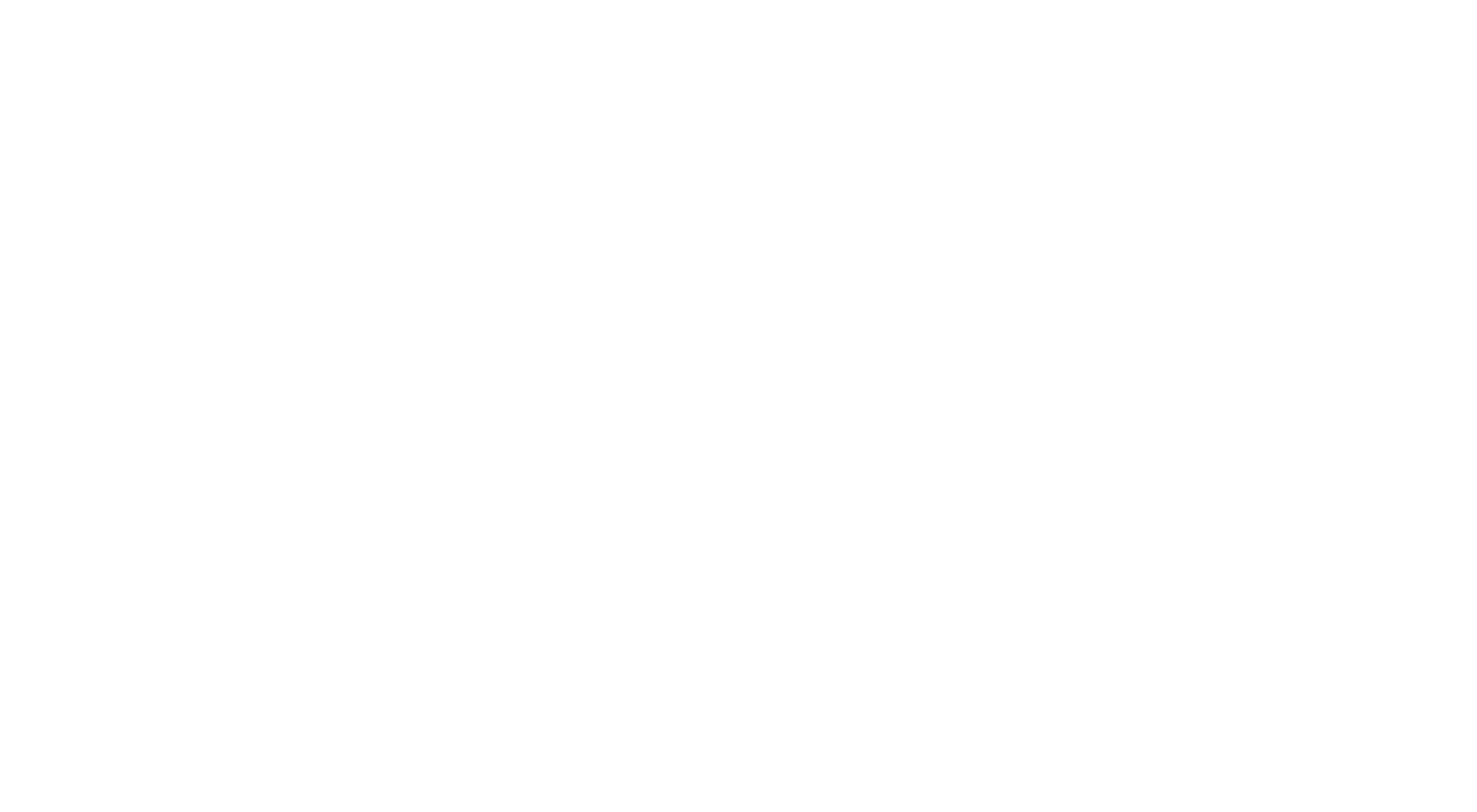 logo light